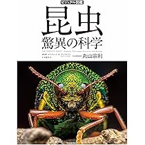 81ux4+u-U9L._AC_UL210_SR210,